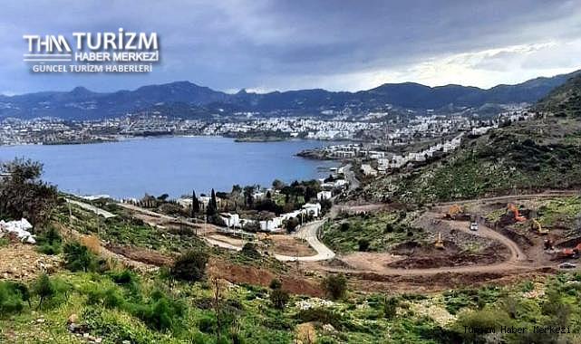 Akdeniz foklarının barınma alanı otel için ranta kurban gitti!