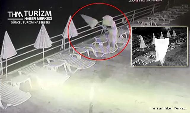 Halk plajında akıl almaz görüntü! Gece yarısı havlu ile gelip...