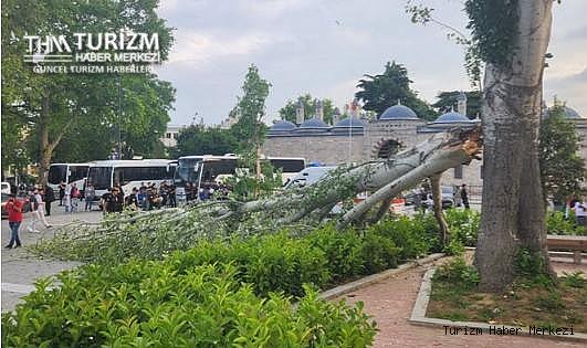 İstanbul'da turist rehberi devrilen ağacın altında kaldı!