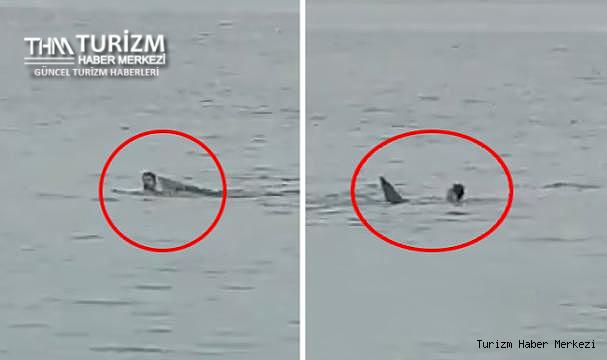 Rus turist köpekbalığı tarafından öldürüldü!