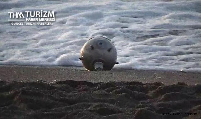 Türkiye sahillerinde mayın alarmı! O plaj kapatıldı