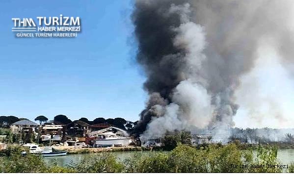 Antalya'da otluk alanda başlayan yangın lüks teknelere ve ormana sıçradı!