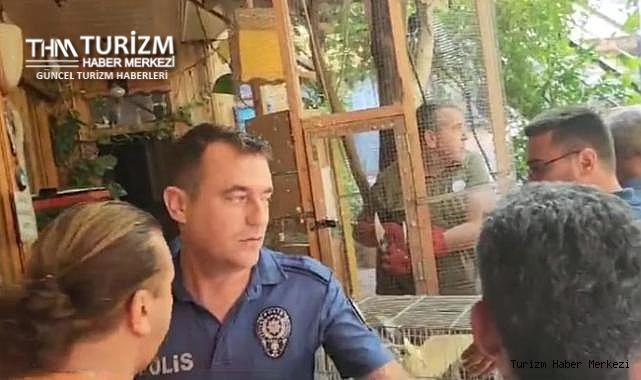 Antalya'daki otelde papağan ve kanarya davası! DKMP görevlileri ile otel sahibi birbirine girdi