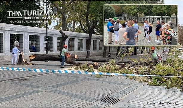 Sultanahmet'te turist grubunun üzerine ağaç devrildi!