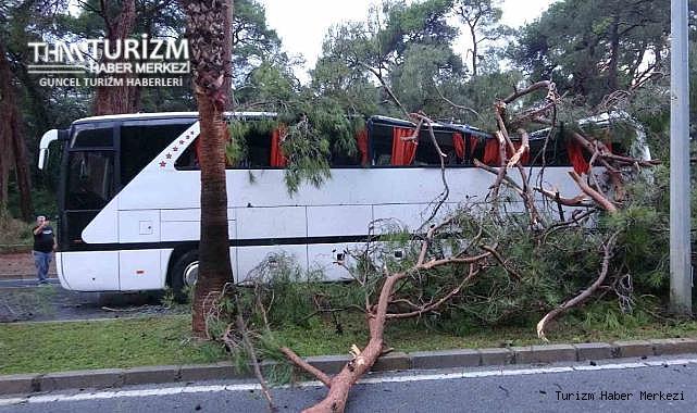 Otel personel servisinin üzerine çam ağacı devrildi! Çok sayıda yaralı var