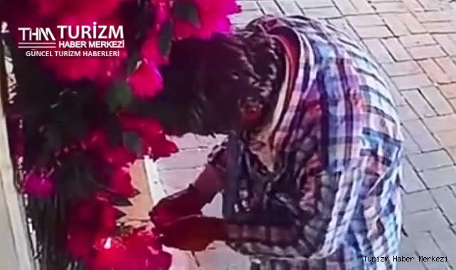 Suni çiçeği koparmaya çalışan adam oteli yaktı!