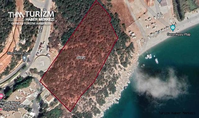 Akbelen Ormanı'nın katili Limak Bodrum'daki ormanlık alana otel yapacak!