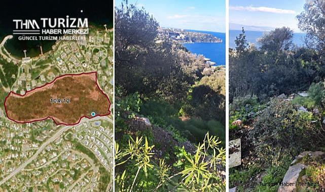 Bodrum'daki zeytinlik alana otel yapılacak!