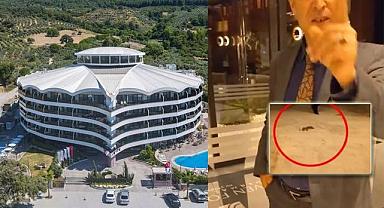 İşte kedi katliamı yapılan Kuşadası'ndaki hayvan dostu termal otel!