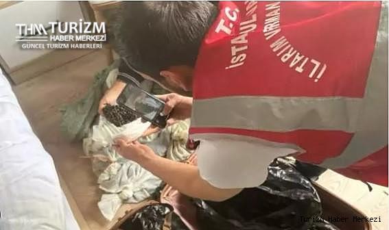 Otele kaçak sülük baskını! Rekor ceza kesildi