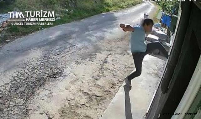 Alanya'daki kedi ve köpeklerin barındığı otele silahlı saldırı! İki şarjör boşalttı yetmedi...