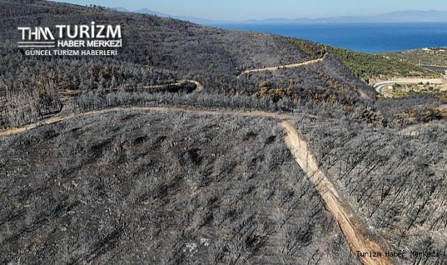 Otelleri ve evleri boşalttıran yangın yaktı geçti! Sebebi belli oldu