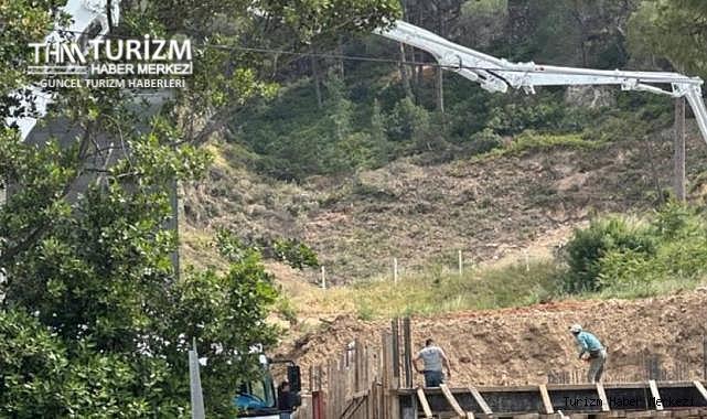 Ayvalık'taki otel inşaatı için onlarca ağaç kesildi!