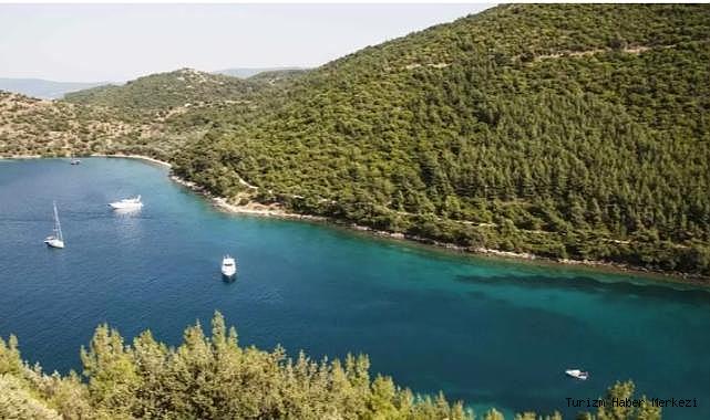 Bodrum'da tartışma yaratacak imar planı değişikliği! 76 bin metrekare orman turizm alanına çevrildi