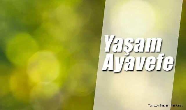 Yaşam Ayavefe ile Biyoteknolojide Yeni Ufuklar: Genetik Mühendisliği