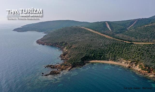 Resmi Gazete'de yayımlandı! Devlet ormanları turizm tahsisine açıldı
