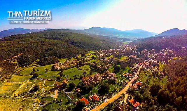 Yazın halkın girişine izin verilmeyen ormanlık alana konaklamalı orman parkı yapılacak!