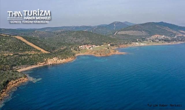 Kıyı kenar çizgisindeki orman alanları ile ilgili önemli düzenleme! Resmi Gazete'de yayımlandı